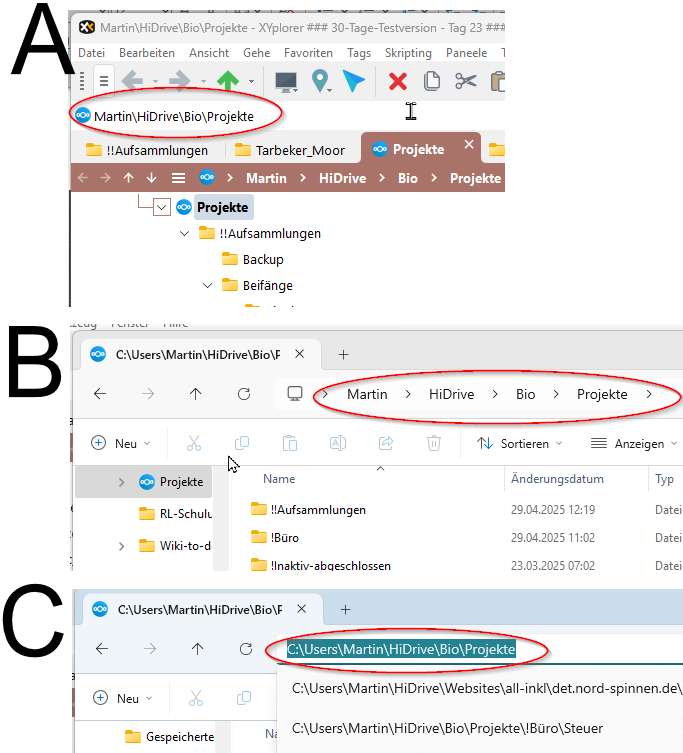 Pfad in XYPlorer und Windows Fileexplorer
